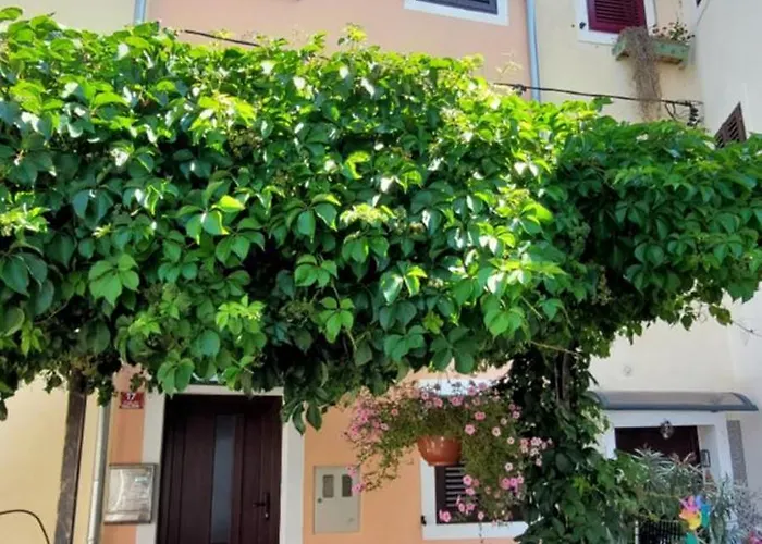 Lejlighed Apartmaji Jurcan *